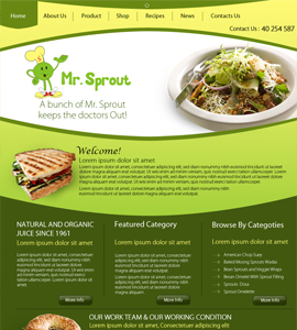 Mr Sprout Online Health Consultant Website Design 