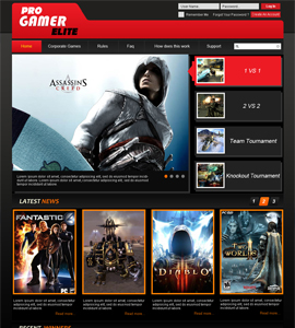 Pro Gamer Online Gaming Website 